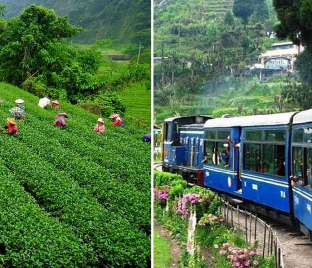 DARJEELING MIRIK KALIMPONG