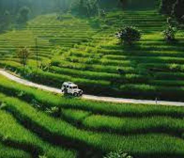 QUEEN OF THE HILLS (Darjeeling 3N)